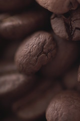 coffee beans on a dark background