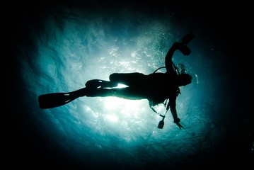 silhouette of a woman suba diver