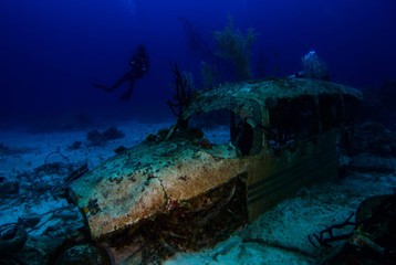 scuba diver and plane wreck