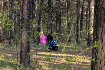 A young family with a baby in a stroller walks along a path in the woods or in a park in the fresh air during the day.