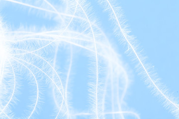 Abstract background. Downy threads on a blue background. Down for pillows. Cotton threads.
