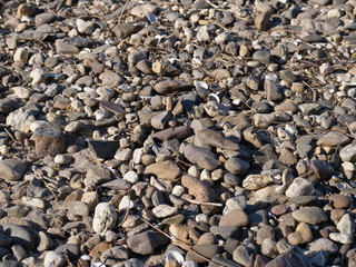 Small pebbles, shells of river mussels, really small wooden sticks and sand on the beach of a river