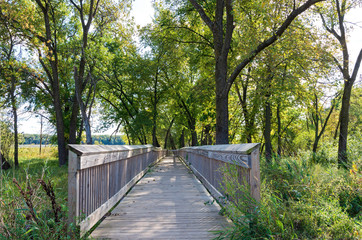 Fototapeta premium Promenada i sceneria w rezerwacie przyrody Bloomington