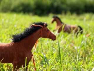 toys horses in the field