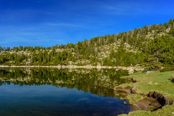 Reflections at the lake - Estany Mal (Catalonia,Spain)