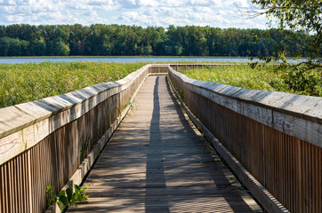 Obraz premium Boardwalk at long meadow lake in bloomington