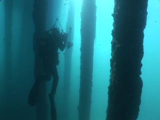 fish and scubadiver scenery under the pier sun rays and beams ocean scenery
