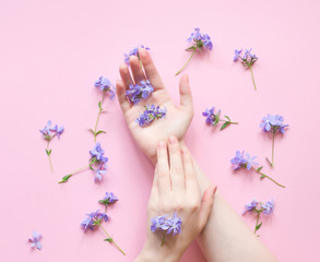 Beauty hands of a woman with blue flowers  on a pink background. Natural cosmetics product and hand care, moisturizing and wrinkle reduction, skincare and flat lay copyspace.