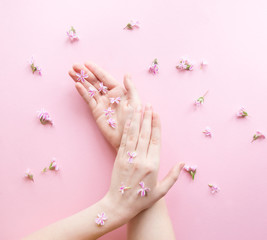 Obraz na płótnie Canvas Hands of a woman with pink flowers on a pink background. Natural cosmetics product and hand care, moisturizing and wrinkle reduction. Flat Lay and skincare concept.