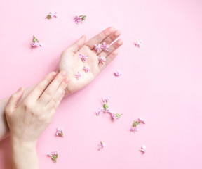 Obraz na płótnie Canvas Hands of a woman with pink flowers on a pink background. Natural cosmetics product and hand care, moisturizing and wrinkle reduction. Flat Lay and skincare concept.