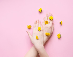 Obraz na płótnie Canvas Hands of a woman with yellow flowers on a pink background. Natural cosmetics product and hand care, moisturizing and wrinkle reduction. Flat Lay and skincare concept.