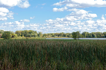 Hogback ridge ponds of bloomington refuge