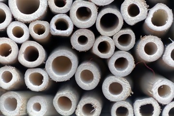 Macro photo of small sawn bamboo stems