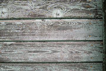 Wood texture. Lining boards wall. Wooden background pattern. Showing growth rings.