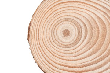 Fototapeta na wymiar Wooden tree cut surface isolated on white