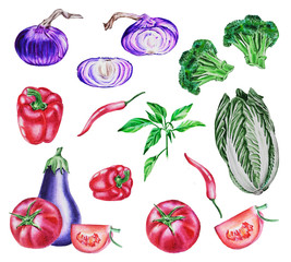 Watercolor illustration, set  vegetables on isolated white background
