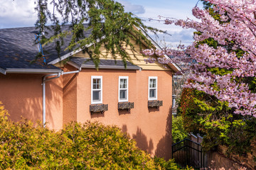 Houses in suburb in the north America. Luxury houses with nice landscape.