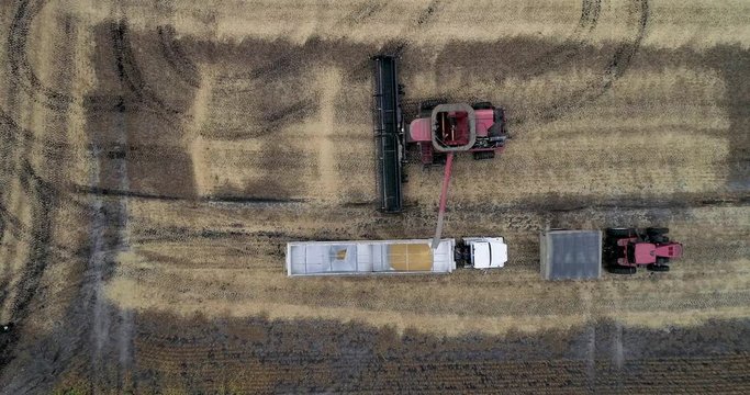 combine filling truck hopper