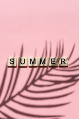 Nature and summer concepts ideas,Trendy summer tropical leaves foliage plant close up with box frame copy space on color background for decoration design. top view