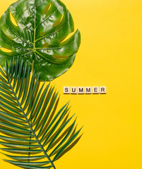 Nature and summer concepts ideas,Trendy summer tropical leaves foliage plant close up with box frame copy space on color background for decoration design. top view