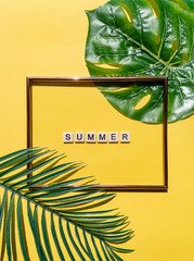 Nature and summer concepts ideas,Trendy summer tropical leaves foliage plant close up with box frame copy space on color background for decoration design. top view