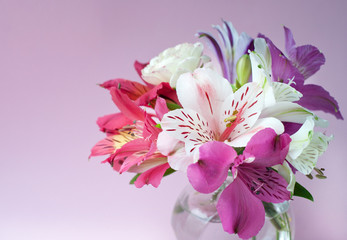 Fototapeta na wymiar Beautiful colorful Alstroemeria flowers in full bloom with green leaves. . Peruvian Lily.Bouquet of flowers on pink background.