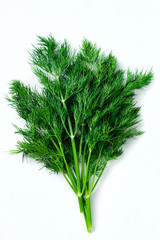 fresh dill on white background