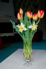 Spring tulips in a glass vase on the table