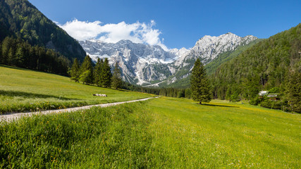 Summer in Jezersko, Slovenia mountain valley pasture with Kamnik-Savinja Alps © 24K-Production