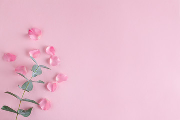Fototapeta na wymiar beautiful floral arrangement with pink rose petals and green eucalyptus branch on pastel pink background, top view, flat lay, copy space
