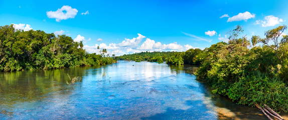 Panoramic view from Iguazu River on shores with subtropical rainforest. Iguazu National Park is in Misiones Province, Argentina.