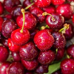 Water drops or dew drops on ripe juicy cherries. Macro red cherries. Sweet fruits. Shallow depth of field.  Art photography
