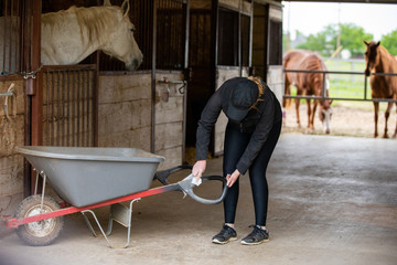 Covid-19 Barn Disinfection 