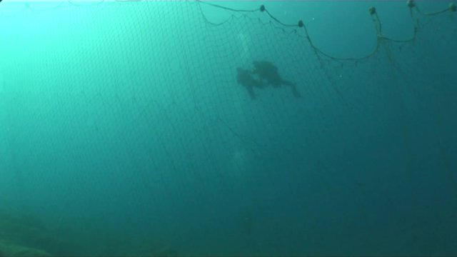 scuba divers around old ghost fhish net underwater dangerous ocean scenery