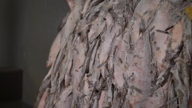 Frozen fish. Fish with ice at the seafood market.