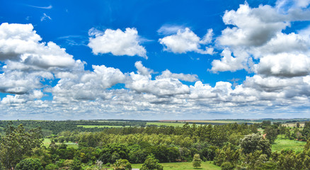 Fototapeta na wymiar Beautiful View of the horizon, Amazing Clouds, beautiful summer clouds, sunny day in the countryside