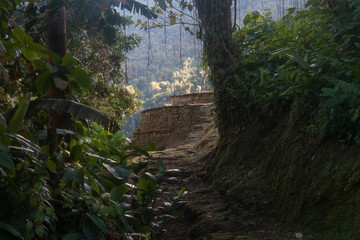 the sunlight shows us the curve of the great terraces of the ancient temples lost city (indigenous...