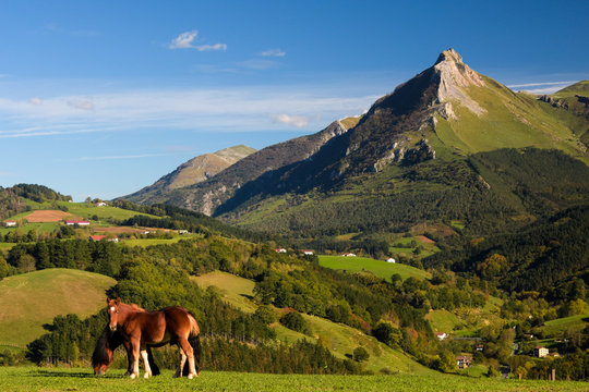 Horses under Txindoki Peak.