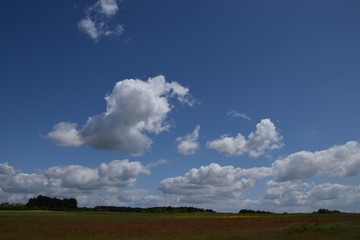 Fototapeta na wymiar sky and clouds with field background