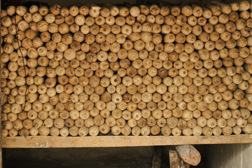 Corn stacked on shelves
