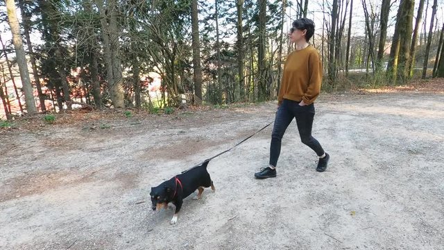 Woman in casual clothes walking in the forest macadam trail with small black dog, footage with action camera
