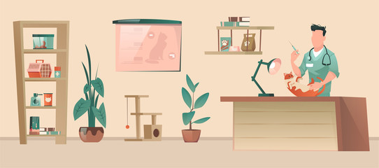 Vector of a veterinarian administering vaccine to a cat in a veterinary clinic
