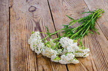 Bunch of wild flowers with white inflorescences on wooden table