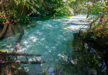 The Formiga River (Rio Formiga), with its clear, turquoise water, perfect for swimming and snorkelling. One of Jalapao attractions.