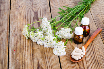 Fototapeta na wymiar Traditional medicine concept, medicinal plants and herbal capsules