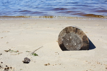 the shore of the Gorky sea