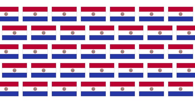 Paraguay Flag Loop Background