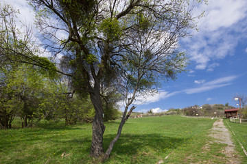 Spring Landscape of Balkan Mountains, Bulgaria