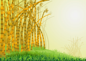 Gold bamboo stems with leaves in morning . Cartoon yellow Bamboo trees inside the forest . Golden trees . Asian natural jungle landscape background - Vector