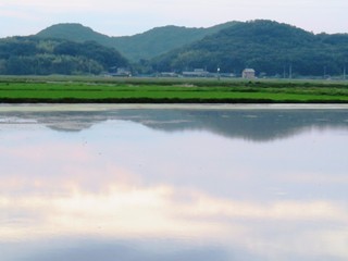日本の田舎の風景　7月　田んぼに映る空　夕景